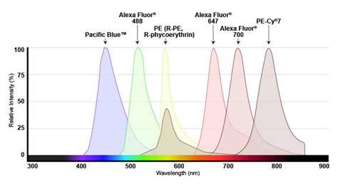 What is Flow Cytometry? | Cell Signaling Technology