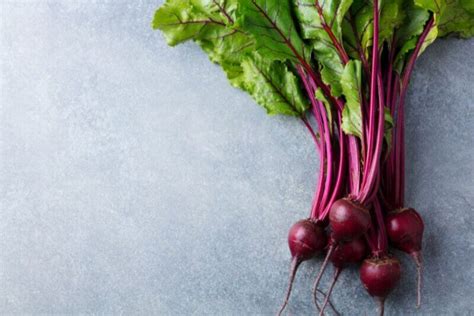 Supercharge Your Beet Garden: Unveiling the Perfect Beet Companion ...