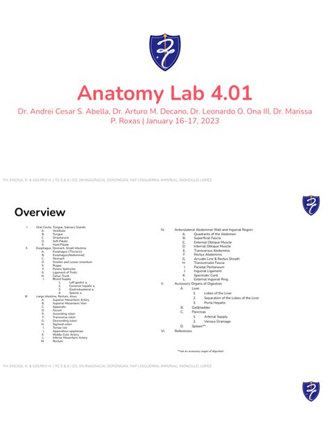 Ana Lab 401 Dissection Of Abdominal Wall And Abdominal Viscerae Pdf Abdomen Large Intestine