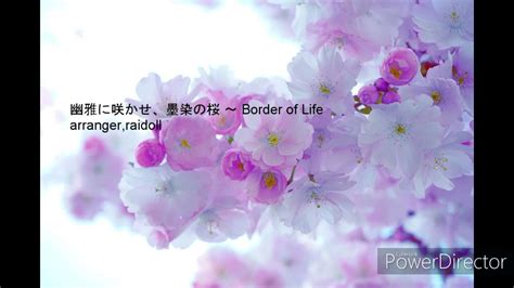 幽雅に咲かせ、墨染の桜 ～ Border Of Life アレンジ Youtube