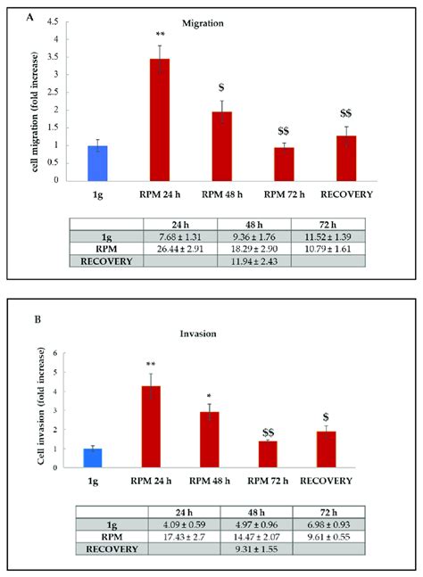 Effect Of Microgravity Exposure In RPM On Migration A And Invasion