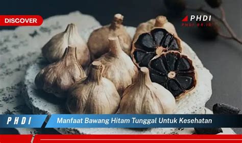 Temukan Manfaat Bawang Hitam Tunggal Untuk Kesehatan Yang Bikin Kamu