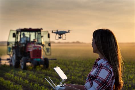 Sustainability and the Soybean: How Ontario Farming Compares to Top Growers