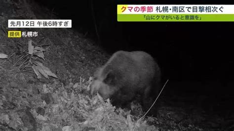 相次ぐクマ目撃情報 札幌で既に”8件”カメラには徘徊する姿も冬眠から目覚め活動活発化「今年は早い」 北海道ニュース Uhb Uhb 北海道文化放送