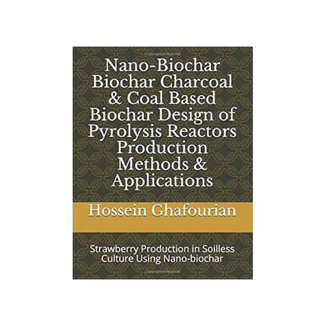 Buy Nano-Biochar Biochar Charcoal & Coal Based Biochar Design of ...