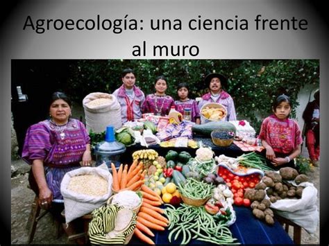 Agroecología una ciencia frente al muro ppt descargar