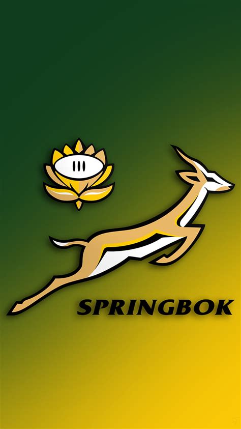 Springboks See Off Wallabies In Tight Affair Sa Rugby Hd Wallpaper