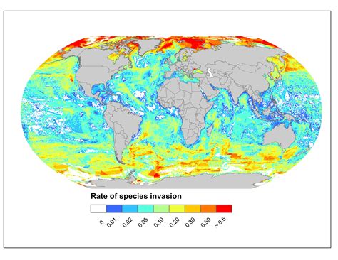 Migrating Fish Species