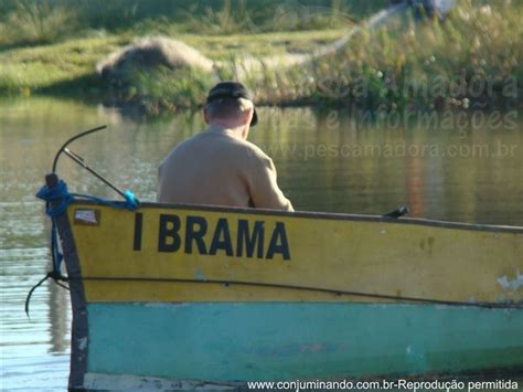 Destruction In Montania Portal Pesca Amadora Esportiva