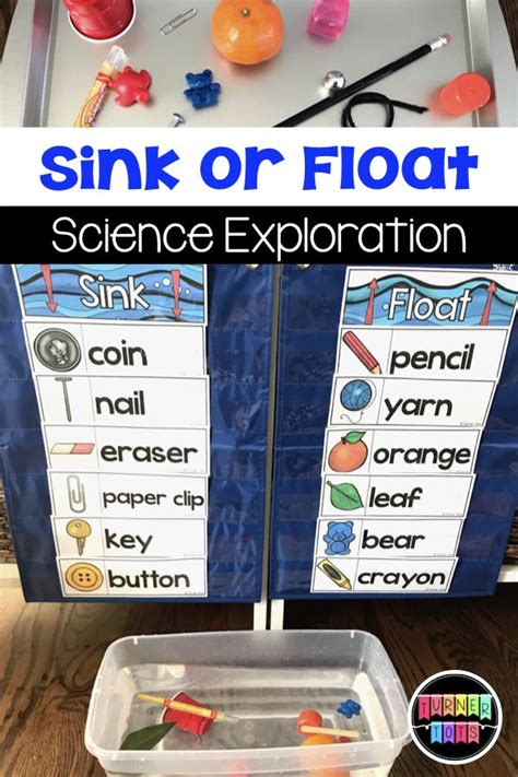 Sink Or Float Science Activity Water Science Activity For Preschool