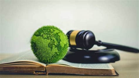 The Role of International Environmental Law in Tackling Climate Change ...