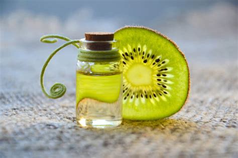 Best Fruity Perfume 2021 - Top 12 Scents | Perfumeer.com