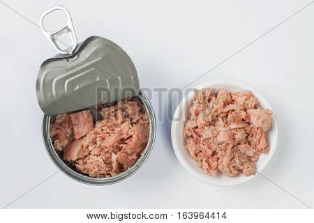 Canned Tuna Isolated Image Photo Free Trial Bigstock