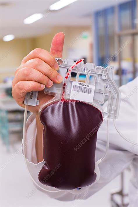 Blood Donor Processing Stock Image C Science Photo Library