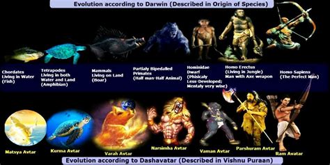 Vishnu Dasavatar And Darwin Evolution Theory Of Man Puranas