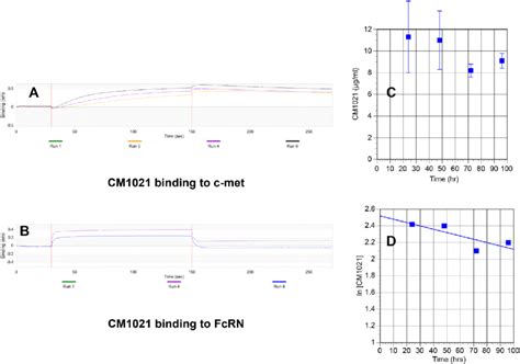 Cm1021 Binds To Both C Met And Fcrn A Biolayer Interferometry Bli