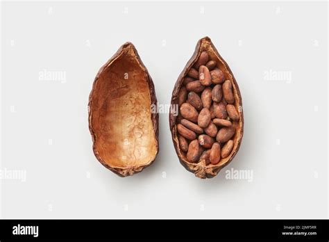 Cocoa tree seeds hi-res stock photography and images - Alamy