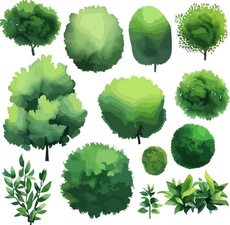 Premium Vector Gorgeous Trees Bushes Shrubs Seasesonal Vector Art