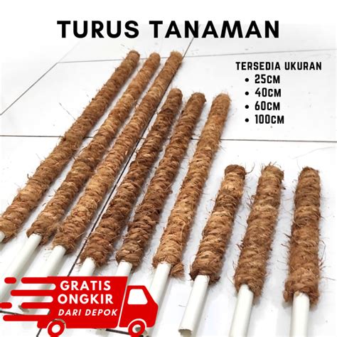 Turus Penyangga Tanaman Turus Penyangga Tanaman Pipa Turus