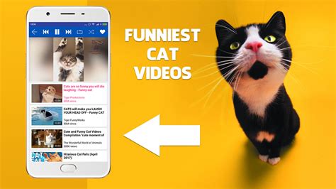 Funny Videos - Best Funny Videos Compilation - App on Amazon Appstore