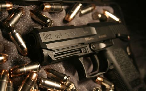 Gun Wallpapers 2016 - Wallpaper Cave