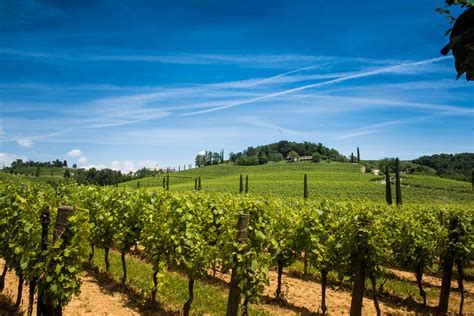 Friuli Venezia Giulia Arriva La Docg Per I Vini Del Collio