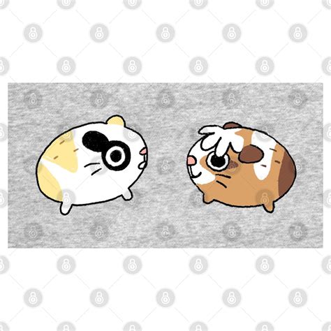 Round Guinea Pig Bois Guinea Pig T Shirt Teepublic