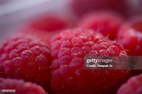raspberry macro stock  high res pictures  images getty