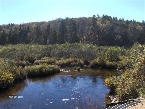 Beaver Lake Trail