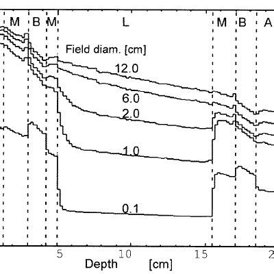 Central Axis Depth Dose Curves Calculated With The Monte Carlo Method