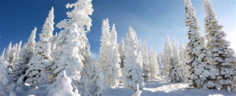 Cabins in Steamboat Springs, CO via cozycozy