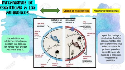 Mecanismos De Resistencias A Los Antibióticos Maryuri Lisbeth Udocz