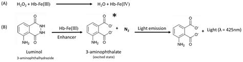 Chemosensors Free Full Text One Step Chemiluminescent Assay For