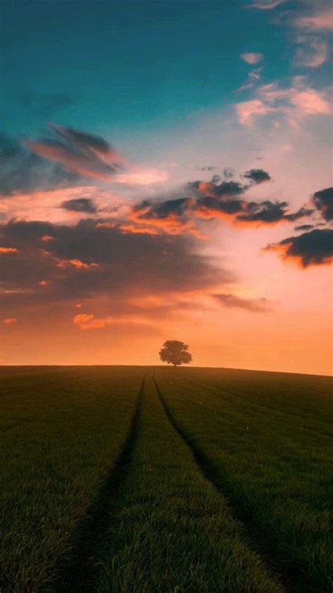 Pin By Tijana On Sunset In Sunset Iphone Wallpaper Sunset