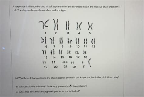 Solved A Karyotype Is The Number And Visual Appearance Of Chegg