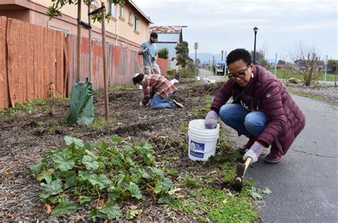 Urban Tilth To Host Mlk Day Of Service On Richmond Greenway Richmond