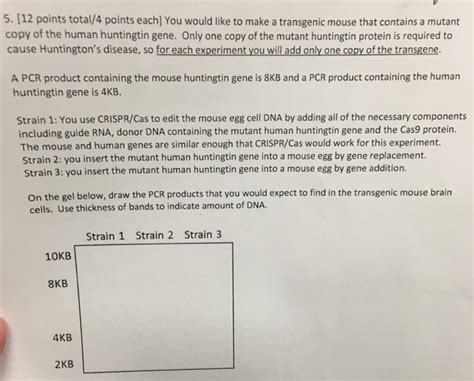 Solved You would like to make a transgenic mouse that | Chegg.com
