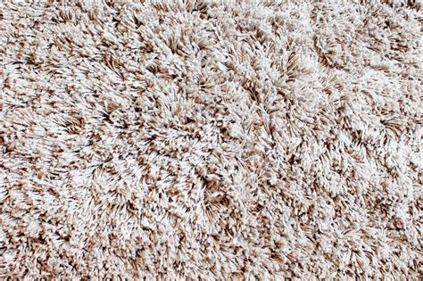 How To Clean Car Carpet Naturally Resnooze