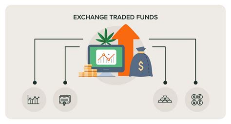 Top CBD Stocks to Invest In | Money Morning