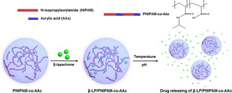 Dual Stimuli Triggered Nanogels In Response To Temperature And PH