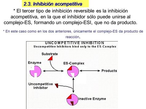 Tema 15 INHIBICIÓN ENZIMÁTICA I 1 Introducción 2 Inhibición reversible