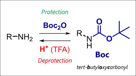 Boc Protecting Group: N-Boc Protection & Deprotection Mechanism