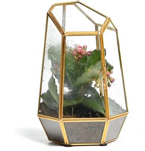 Glass And Brass Geometric Terrarium With Door Handmade Irregular