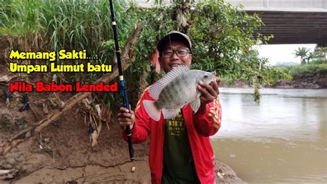 Mancing Ikan Nila Besar Di Sungai Cisadane YouTube