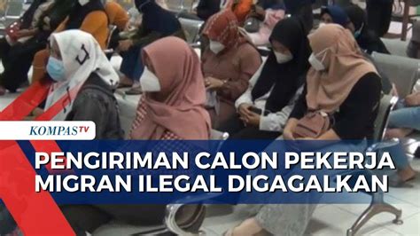 Bp Mi Gagalkan Pengiriman Calon Pekerja Migran Ilegal Ke Arab Saudi