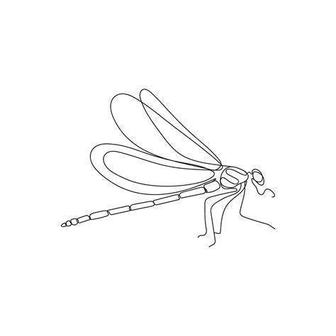 Premium Vector Dragonfly Insect In One Continuous Line Drawing