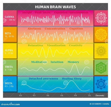 Diagrama De Ondas Cerebrales Humanas En Colores Arcoiris Con