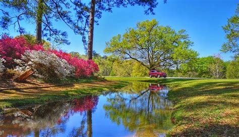 Callaway Gardens | CityDays