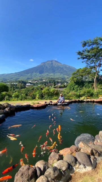 Zakurai Koi On Instagram Beautiful Koi Pond Garden Resto By