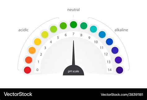 Ph Scale Indicator Chart Diagram Acidic Royalty Free Vector